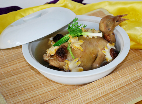chim bồ câu có giá trị dinh dưỡng cao
